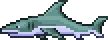 sharks terraria|shark fins terraria calamity.